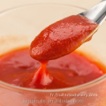 Ligne de production de sauce tomate